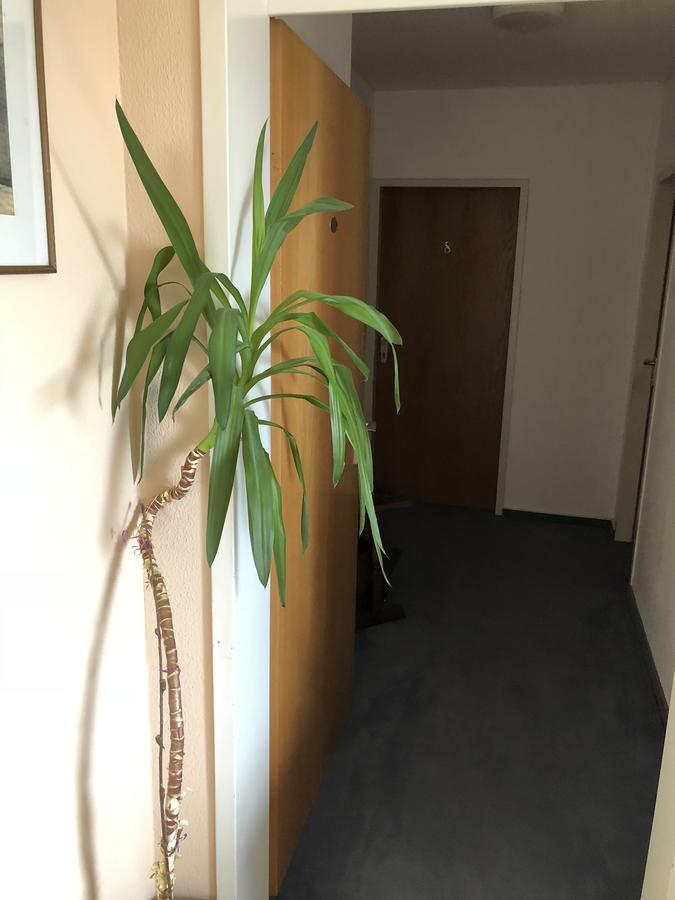 Hotel Junkerhaus Bad Salzuflen Ngoại thất bức ảnh